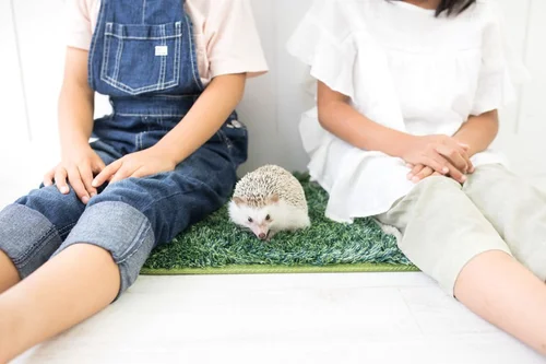 こだわりが強く同じ服を着たがる発達障がいの子どもと悩む母親